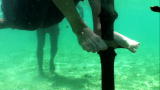 Beyond Survival: Stick Fishing