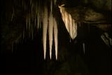 Assignment Discovery Shorts: Stalactites and Stalagmites