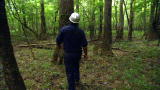 Swamp Loggers: Obstacles