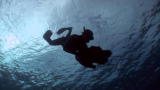 Life: Filming the Humpback Heat Run