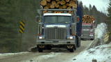 American Loggers: Turned Away at the Mill