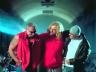 American Chopper: You're Making Me Feel Fat!