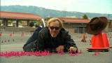 MythBusters: Attack of the Tacks
