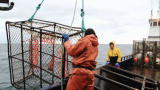 Deadliest Catch :Bad Luck Greenhorn