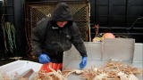 Deadliest Catch: A Worn-Down Crewman