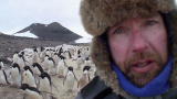 Frozen Planet: Filming Penguins Like Never Before