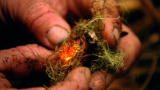 Dual Survival 2: No Fire Tonight