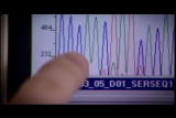 Assignment Discovery: Polenque DNA