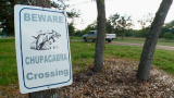 American Treasures: An Unexplained Creature