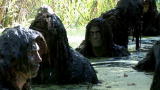 Surviving the Cut: Enter the Pig Pond
