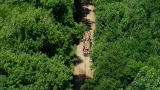 Swamp Loggers: One Track Mind