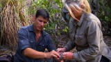Man, Woman, Wild: A Fire Making Technique Gone Bad