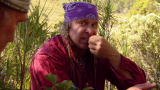 Dual Survival: Huhu Grub Snack