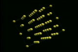 Assignment Discovery Shorts: Gold Atom