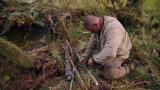 Dual Survival: Salmonberry Arrow Shaft