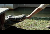 play video on Discovery Channel