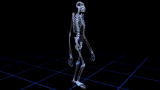 Ardipithecus: Ardi's Life Modelers