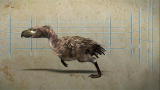 Mega Beasts: Terror Bird's Killer Pedigree