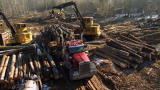 Swamp Loggers: Pushing Through