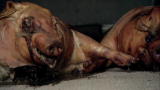 The Colony: Smelly Hog Truck