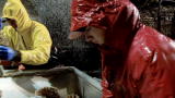 Deadliest Catch 8: Welcome Back Love Tap