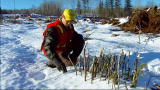 Extreme Loggers: Ice Logging: Plan of Attack