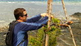 Man vs. Wild: Signaling for Help
