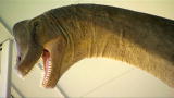 Prehistoric Washington DC: Astrodon Eating Machine