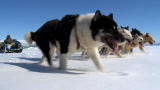 The Making of "Arctic"