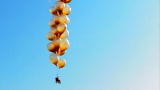 MythBusters: Lawn-Chair Balloon MiniMyth