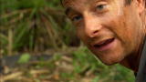 Man vs. Wild: Ultimate Stealth Predator
