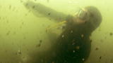 Bering Sea Gold: Underwater Avalanche