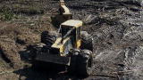 Swamp Loggers: Timber Tempers
