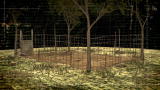 Hogs Gone Wild: Corral Trap