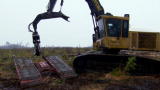 Swamp Loggers: Clean Up Crew