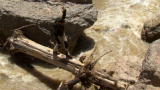 Man vs. Wild: Lasso Lifeline