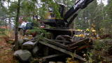 American Loggers: Code Red