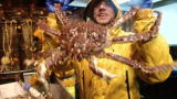 play video on Discovery Channel