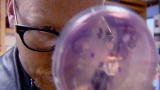 MythBusters: Surprise Toothbrush MiniMyth