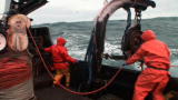 Deadliest Catch Greenhorns: Breaking Point