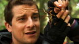 Man vs. Wild: Tastes ... Rancid