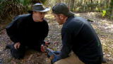 Swamp Brothers: Stephen's Panic Attack