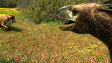 Mega Beasts: Terror Bird Competition