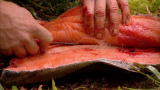Dual Survival: Filleting Salmon