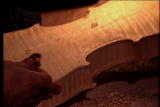Assignment Discovery Shorts: Tree Viola Maker