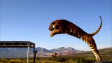 Time Warp: Tiger High Jump