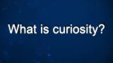 Curiosity: John Maeda: On Curiosity