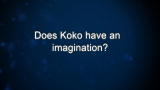 Curiosity: Does Koko have an imagination?