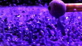 play video on Discovery Channel