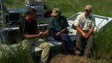 Beast Tracker: Gator Egg Round Up